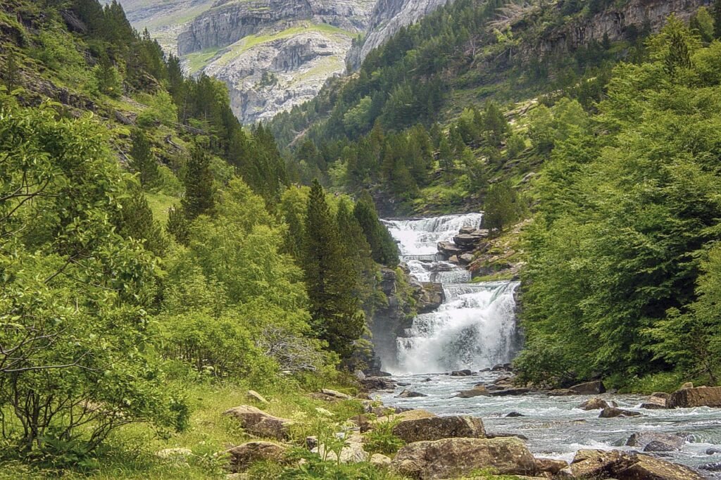 The Pyrenees