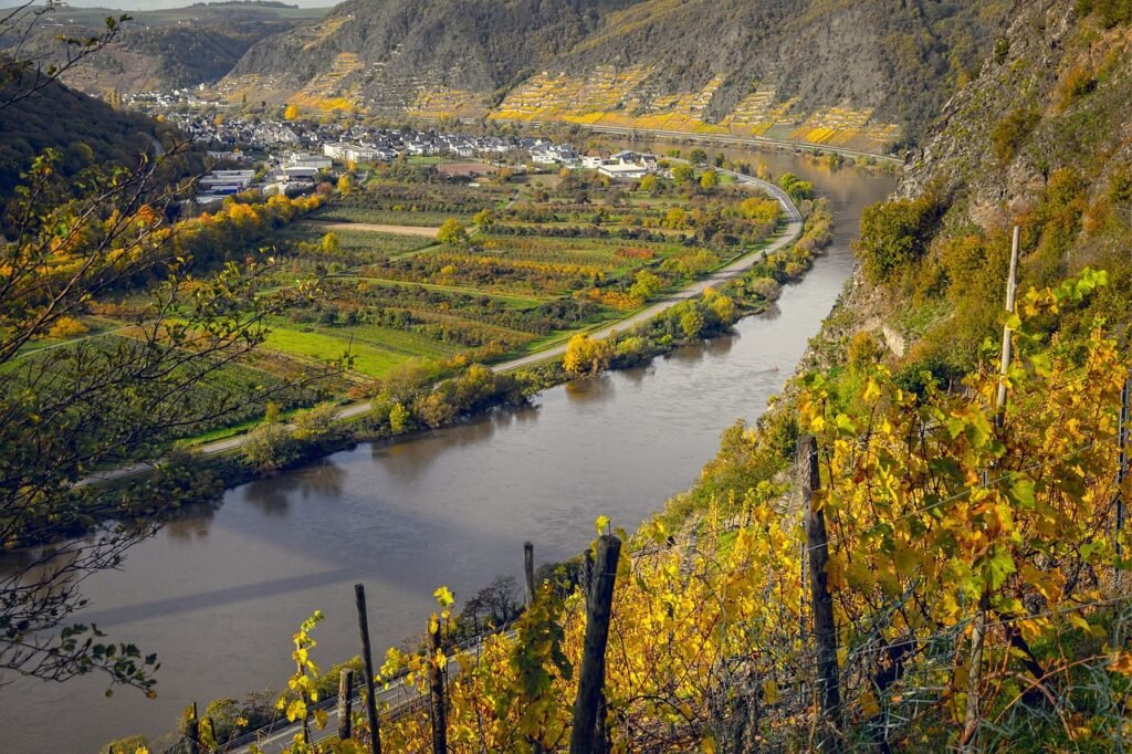Wachau vineyards